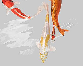 《Skystrider》Steam试玩发布 3D沙盒动作探索